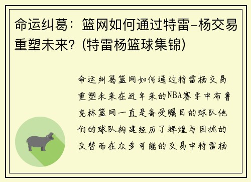 命运纠葛：篮网如何通过特雷-杨交易重塑未来？(特雷杨篮球集锦)