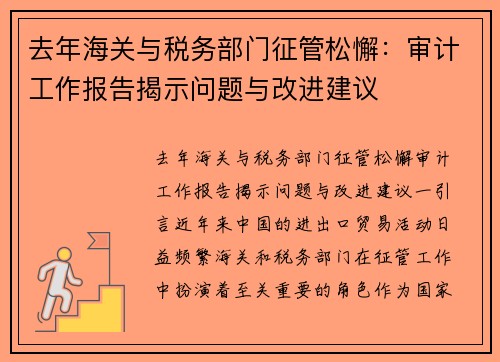 去年海关与税务部门征管松懈：审计工作报告揭示问题与改进建议