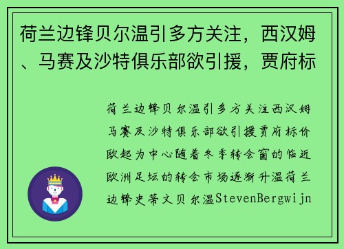 荷兰边锋贝尔温引多方关注，西汉姆、马赛及沙特俱乐部欲引援，贾府标价欧起